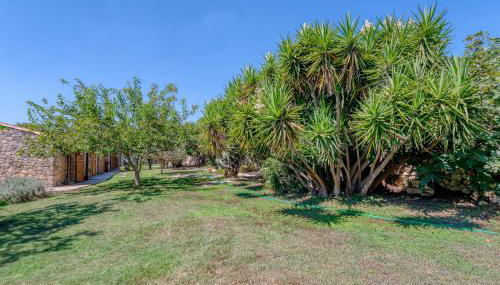 Masseria Copertini - Foto 4