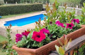 Caserio Kamirune - Foto 68