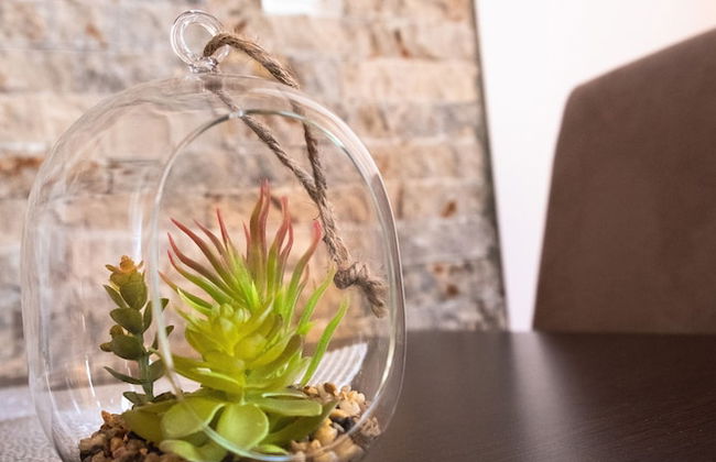 Bivalvia Apartments - Foto 6