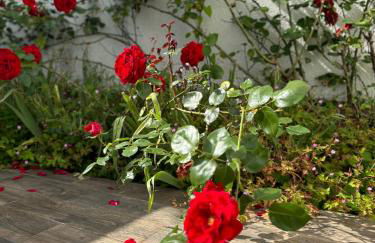 Maison des Larris - proche Aéroport - navette Gare - Foto 13