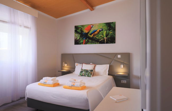 Parrots Village - Foto 12