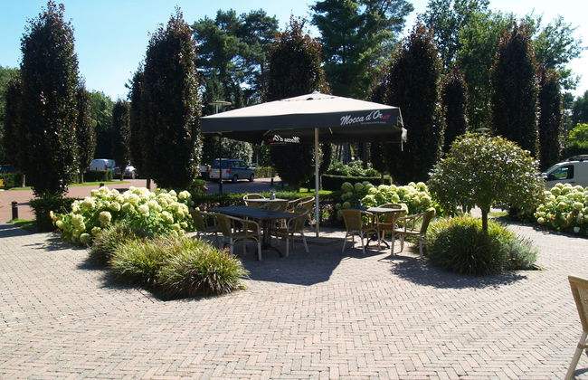 4 bedroom House in Lochem with swimming pool and terrace - Photo 29