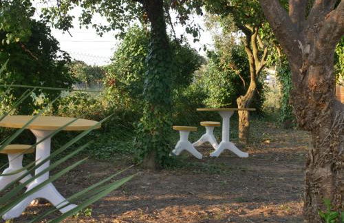 Páteo das Laranjeiras - Foto 41