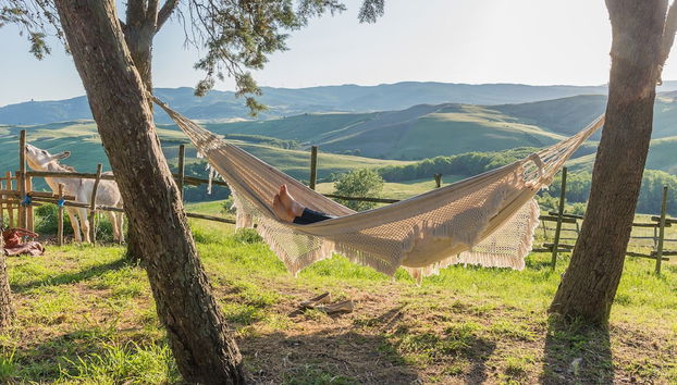 Agriturismo Fattoria Lischeto - Foto 2, Imagen principal