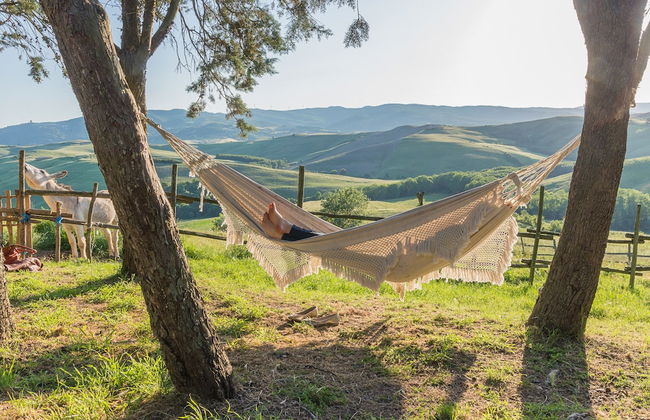 Fattoria Lischeto - Foto 1