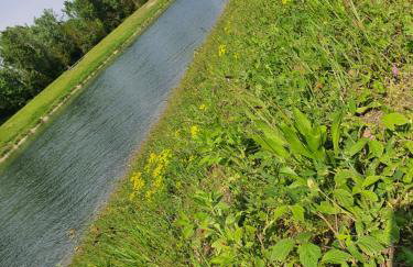 Apartman Ivana - Foto 16