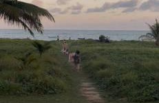 Casa PÉ NA AREIA Paripueira - Foto 2