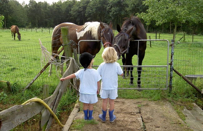 Apartment in Posterholt Near Meinweg Park - Photo 27