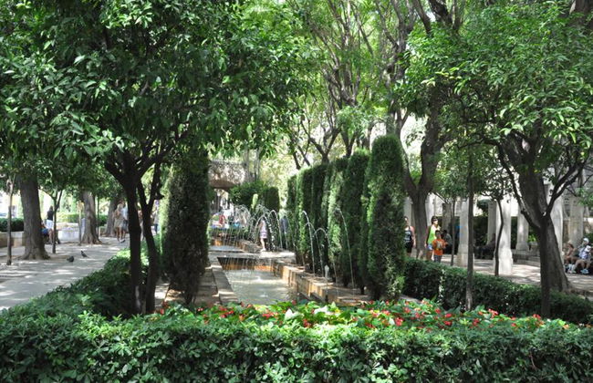 PalmaBus Tour - Saindo da Área Norte - Foto 6