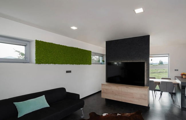 Fr Dlant Mcmp525 in Fr Dlant nad Ostravic - Foto 18