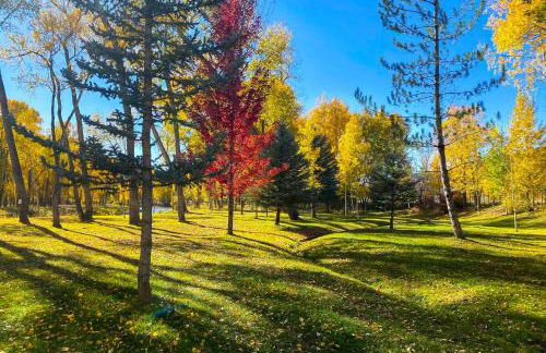 Dolores Ranch Cabin with Hot Tub and 1-Acre Yard! - Foto 36