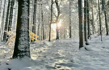 TOP moderne FeWo - Alpakahof zum Himmelreich, traumhafte Lage, Terrasse mit Weitblick, kostenfreier Parkplatz, Nähe Kurklinik, optional Sauna - Foto 22