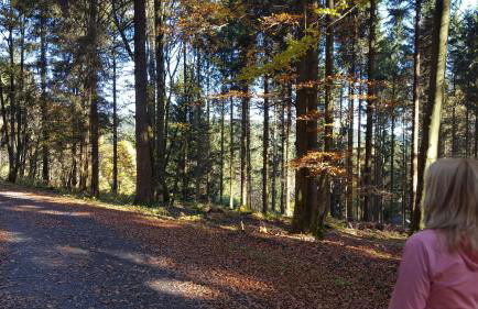 Ferienhaus Bergidylle - Photo 44