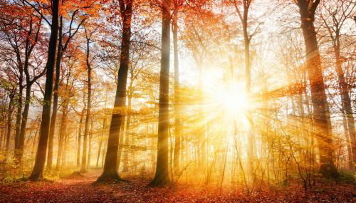 Private Spacious Villa near Winterberg and Willingen 14 Guests HUGE GARDEN Free Parking for Multiple Cars - Foto 2