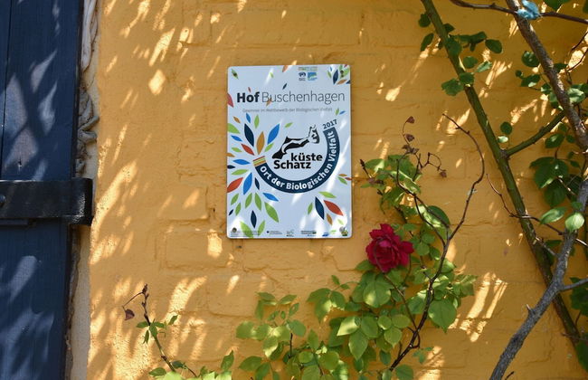 Rustic-style Apartment in Buschenhagen With Garden - Photo 70