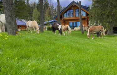 Naturstammhaus und Appartements Zum Brockenbaecker - Foto 9