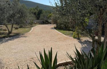 Mediterranean Olive WaterfallsKRKA-Croatia - Foto 8