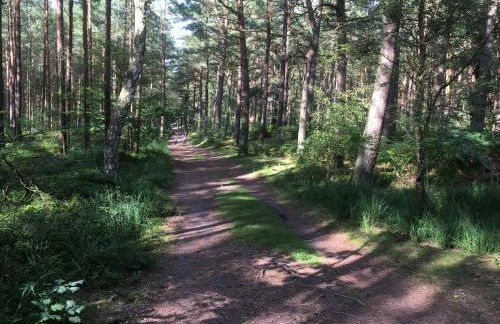 Family Apartments Tom - Foto 46