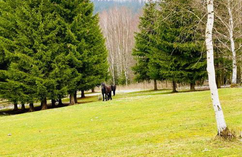 Ferienwohnung Morgensonne - Foto 22
