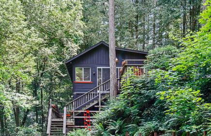 Big Berthas - Foto 3