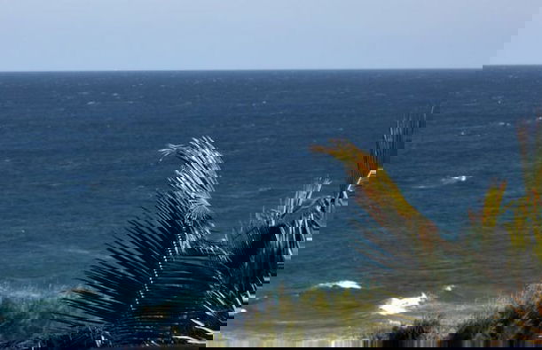 Casa Malcampo - Foto 18