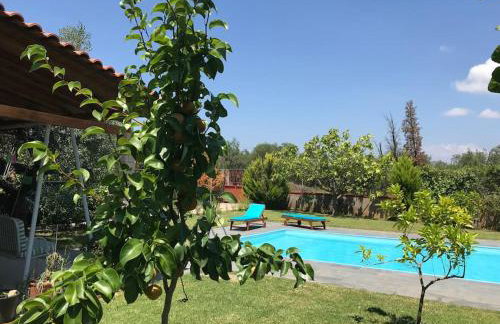 Villa Evelina - Foto 13