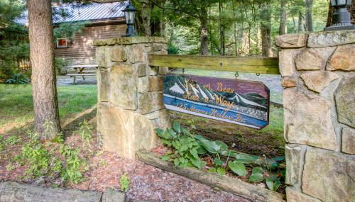 Life's A Bear - Foto 2