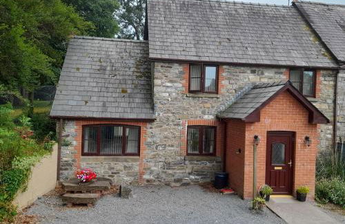 Tregib Mill Cottage - Photo 1