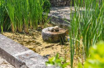 Mas provençal vue sur les vignes & Sainte-Victoire - Foto 8