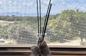 Acquamarina House by the sea - Foto 21