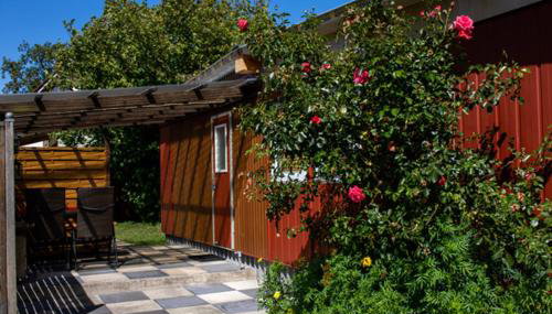 Ferienwohnung Bungalow Palliwoda Prerow - Foto 2, Garden, Garden view