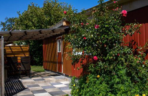 Ferienwohnung Bungalow Palliwoda Prerow - Foto 2