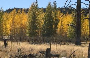 Grand Canyon 1bd Loft at Historic Wrigley Ranch-Suite with Horseback Riding, Hiking - Foto 25