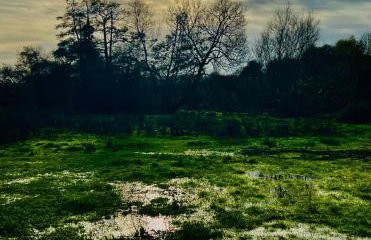 Dapps Hill Haven - between Bristol and Bath, both 9 mins by train! - Foto 65