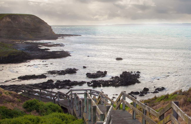 Complete Phillip Island Day Trip - Photo 9