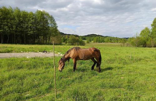 Jura - Chata pod Grodziskiem Pańskim - Foto 12