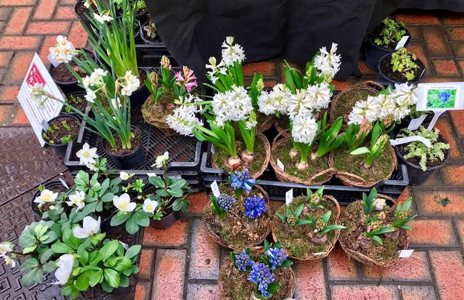 Modern Penthouse With Views in Stroud - Foto 47