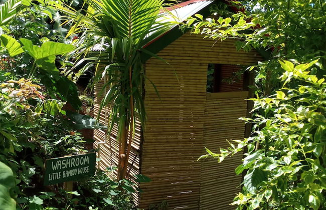 Berkey's Jungle Paradise - Photo 36