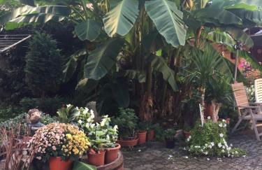 Haus Gisela - Foto 6