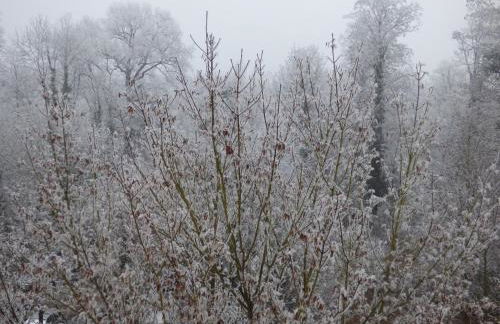 Ferienwohnung Seeblick Nr 1 ,Feldberg Bärental - Foto 22