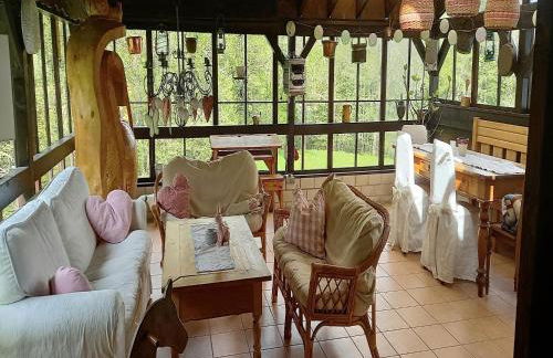 Forsthauswohnung im Schwarzwald - Foto 9