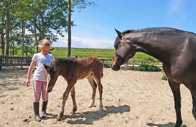Detached House With Dishwasher Near Hoorn - Foto 23