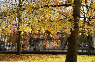 Romance au coeur de Bordeaux / Jardin Public - Foto 51