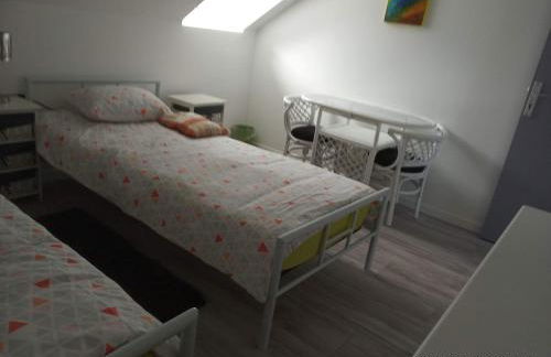 Grand duplex en centre ville pour 10 personnes et plus - Foto 25