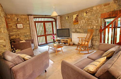 David's Organic Farm Wales - Foto 40