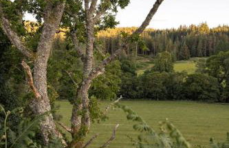 The Hayloft - Foto 32