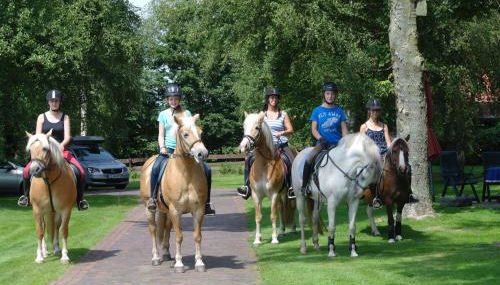 Ferienhof Am Birkensee 55125 - Foto 3