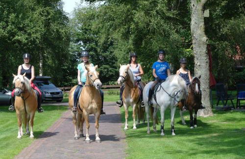 Ferienhof Am Birkensee 55125 - Foto 3