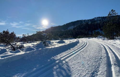 Bergesgrün - Photo 70