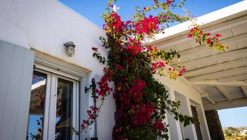 Villa Artemis (Agios Lazaros, Psarou) - Foto 3